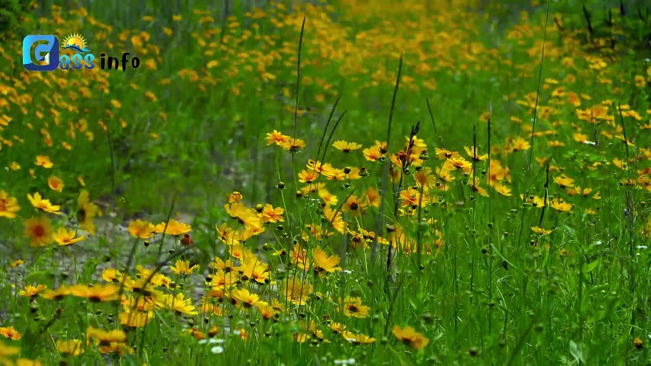 Relax Mind Body, Inner Peace, Relaxing Music| Stress free Music| Sea Music Relax