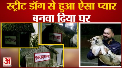 Bijnor News : स्ट्रीट डॉग्स के लिए मसीहा बने ADM Arvind Kumar Singh, बनवा दिया रैन बसेरा