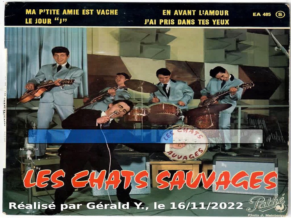 Les Chats Sauvages & Dick Rivers_J'ai pris dans tes yeux (1961)