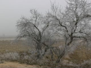 Hinvierno en el Pla d'urgell