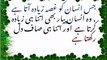 Hazrat Ali (R.A) Amazing Quotes | Urdu Amazing Quotes