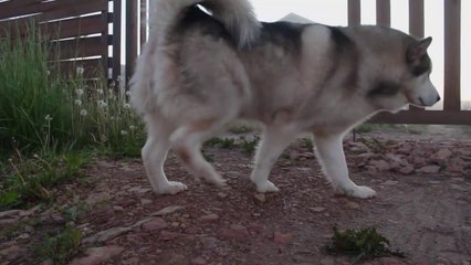 pexels-media-4582458-1671031837913