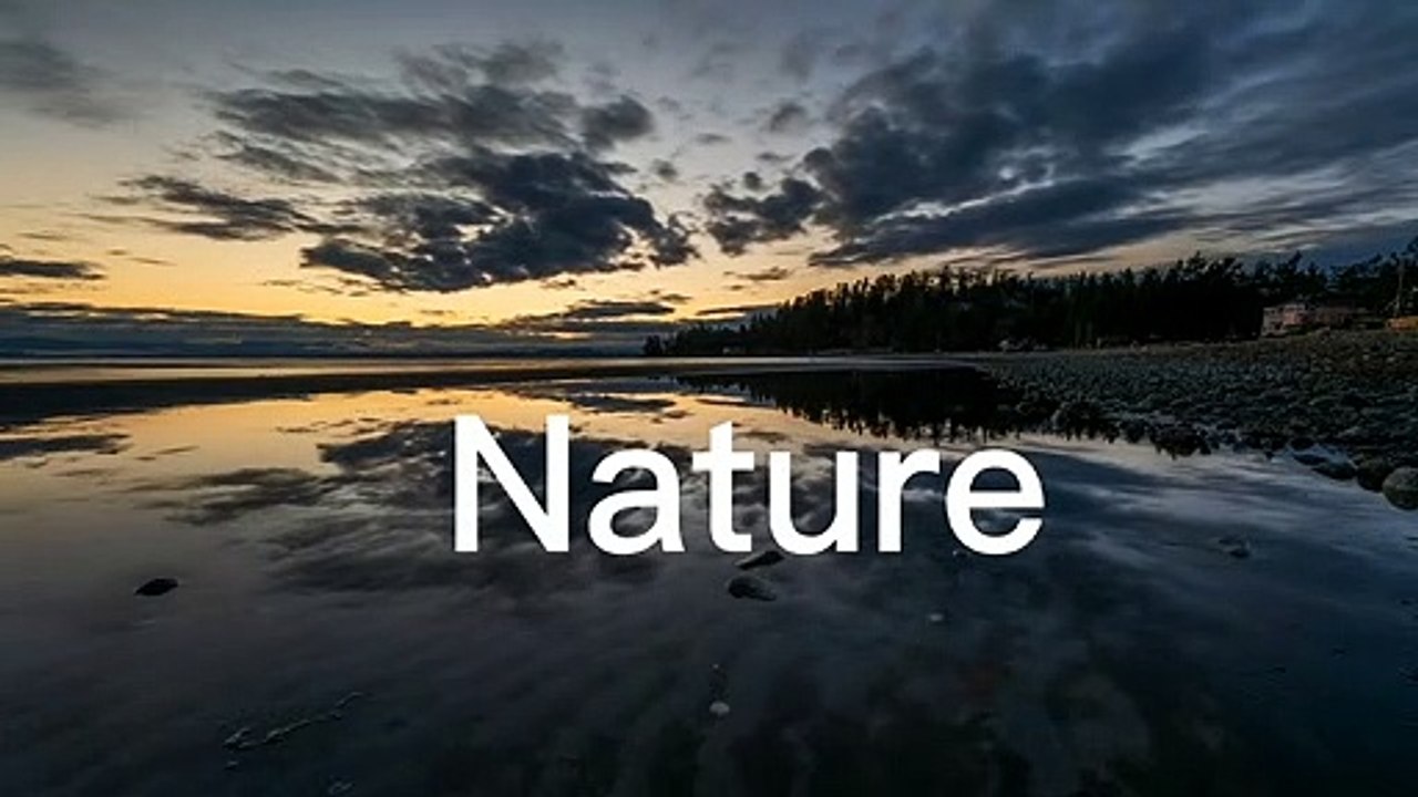 Nature Video