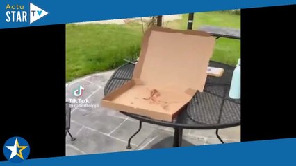 Elle découvre l’identité de celui qui lui a volé sa pizza… et c’est le choc !