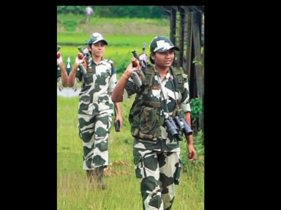 Why this ant face was viral on social media .Face compare with horror movie or devine.