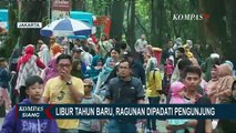 Diserbu Pengunjung di Libur Tahun Baru, Pihak Taman Margasatwa Ragunan Imbau Tetap Jaga Prokes