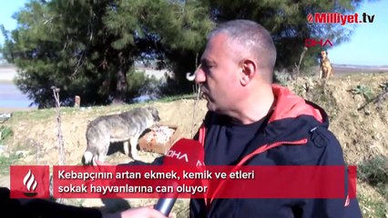 Kebapçının artan ekmek, kemik ve etleri sokak hayvanlarına can oluyor