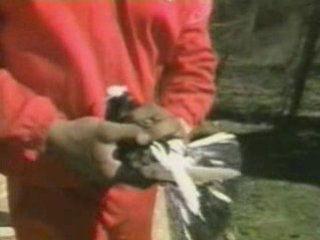 Mike Tyson - Greatest Hits - Partie 2