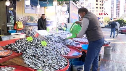 KARADENİZ'DE İSTAVRİT TEZGAHLARA GERİ DÖNDÜ