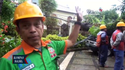 Dua Mobil Rusak Usai Ditimpa Pohon Tumbang Di jalan Chairil Anwar Makassar