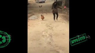 funny videos part 8