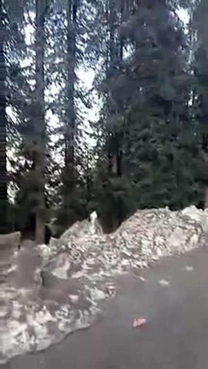VID-20220308-WA0004