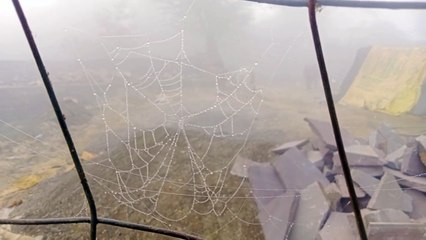 ओस की बूंदों की माला