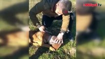 Başı plastik kaba sıkışan köpeği vatandaş kurtardı