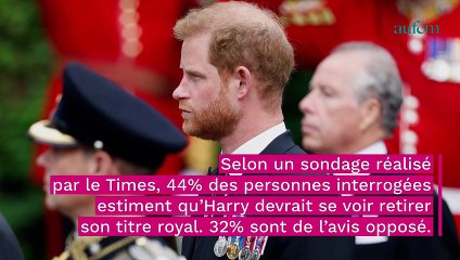 Download Video: Prince Harry : les Britanniques prêts à prendre une décision radicale à son égard