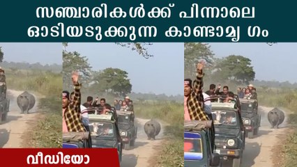 സഞ്ചാരികളെ കുത്തി മലർത്താൻ പാഞ്ഞെത്തി കാണ്ടാമൃ ഗം. ഭയപ്പെടുത്തും വീഡിയോ