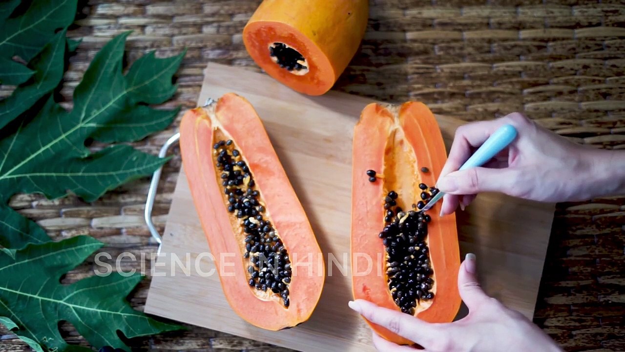 अनोखे फ़ायदे पपीते खाने के ।_ Suprising benefits of papayas _ SCIENCE