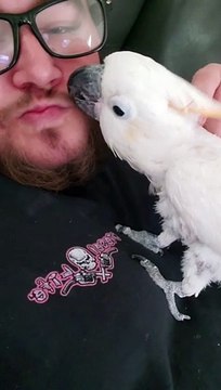 Guy Cuddles an Adorable Cockatoo