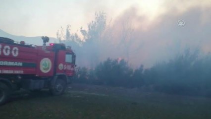 Çıkan orman yangınına müdahale ediliyor