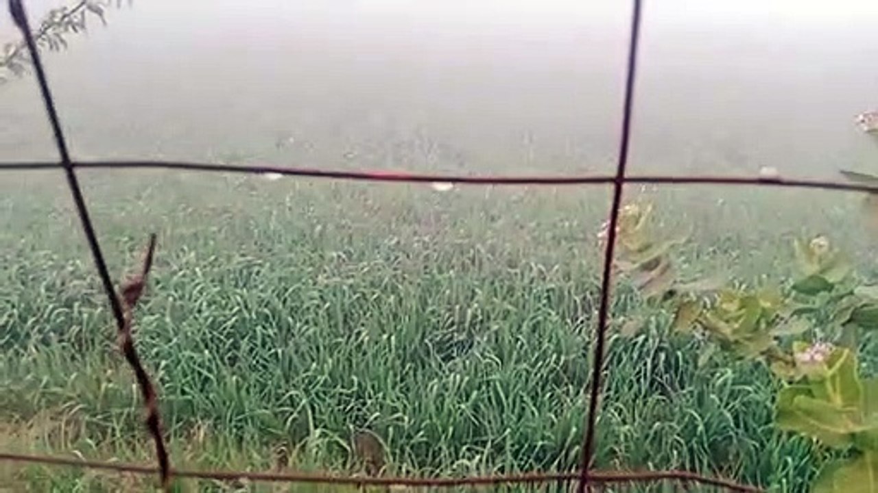 कड़ाके की सर्दी के साथ हुआ नए साल का आगाज ,माउंट आबू शून्य, फतेहपुर एक और चूरू 1.6 डिग्री सेल्सियस
