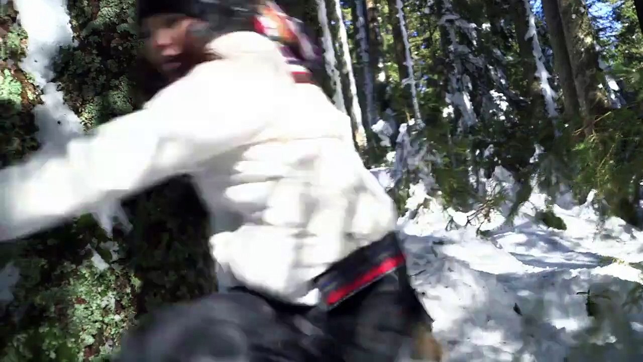 Tiere bis unters Dach Staffel 5 Folge 13