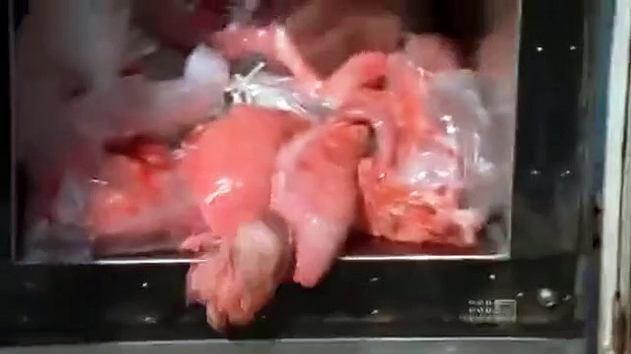 Sea Patrol - Se4 - Ep08 HD Watch