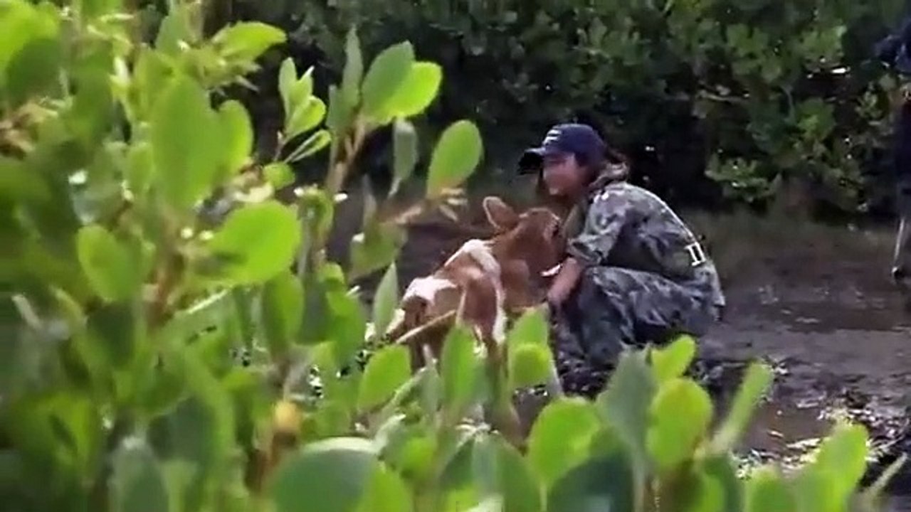 Sea Patrol - Se4 - Ep10 HD Watch