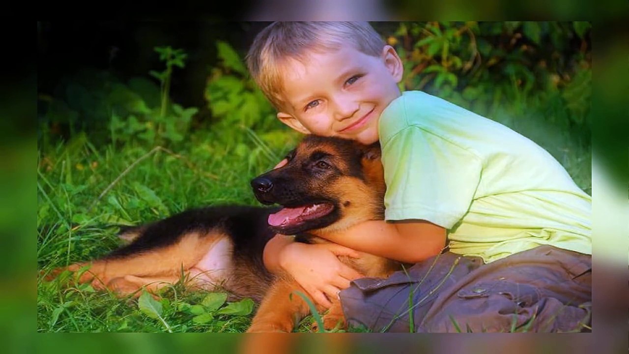10 Most Ancient Dog Breeds On Earth