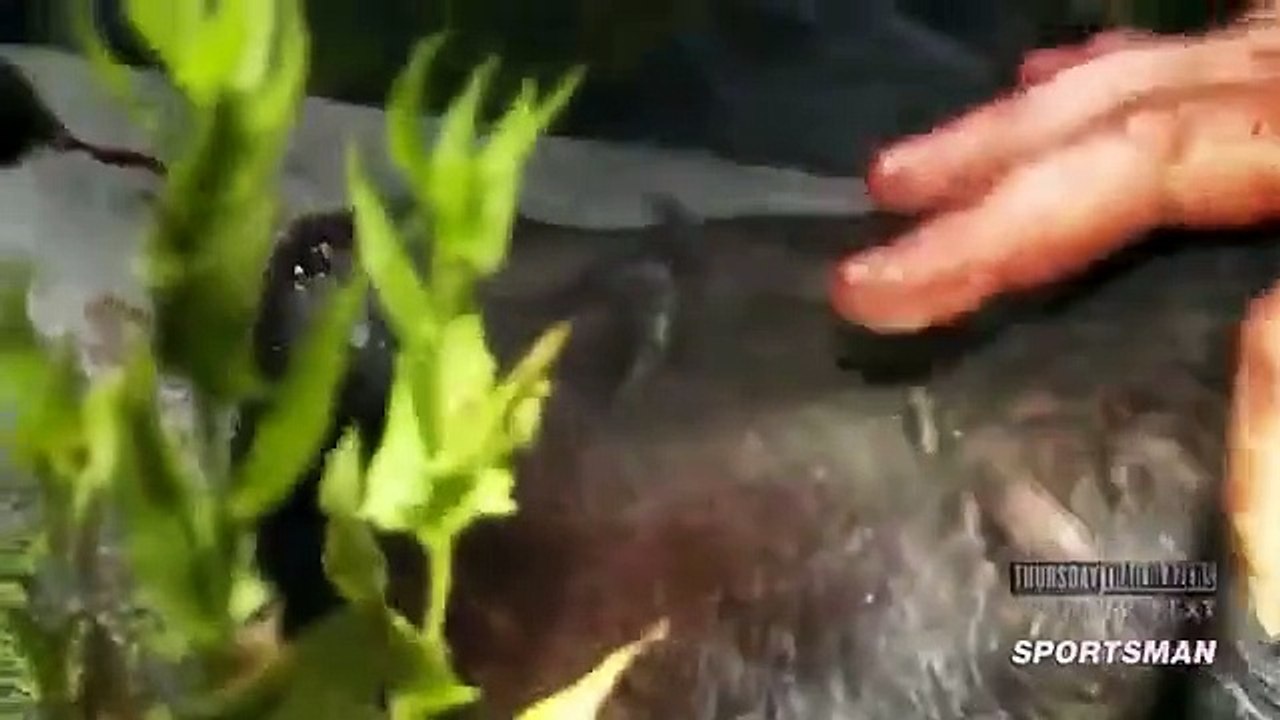 MeatEater - Se4 - Ep06 HD Watch