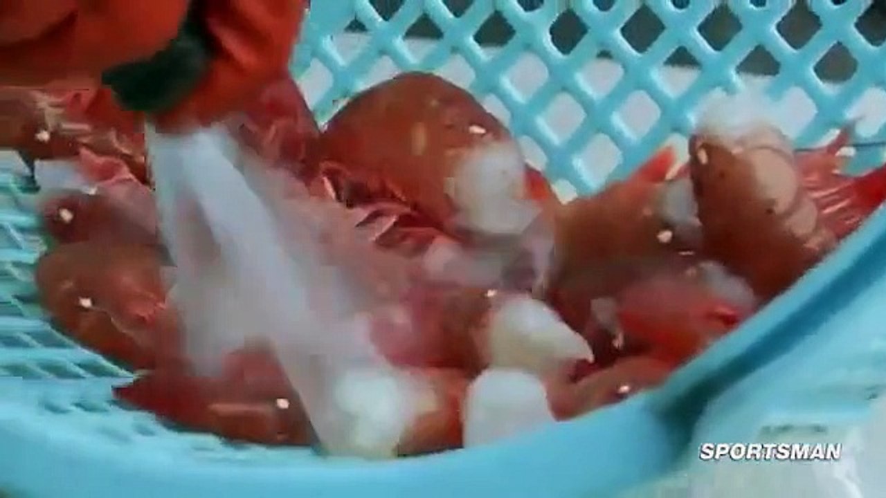 MeatEater - Se4 - Ep11 HD Watch