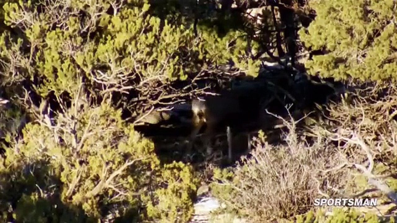 MeatEater - Se4 - Ep12 HD Watch