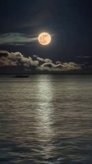 Beautiful nature with happy new year 2023