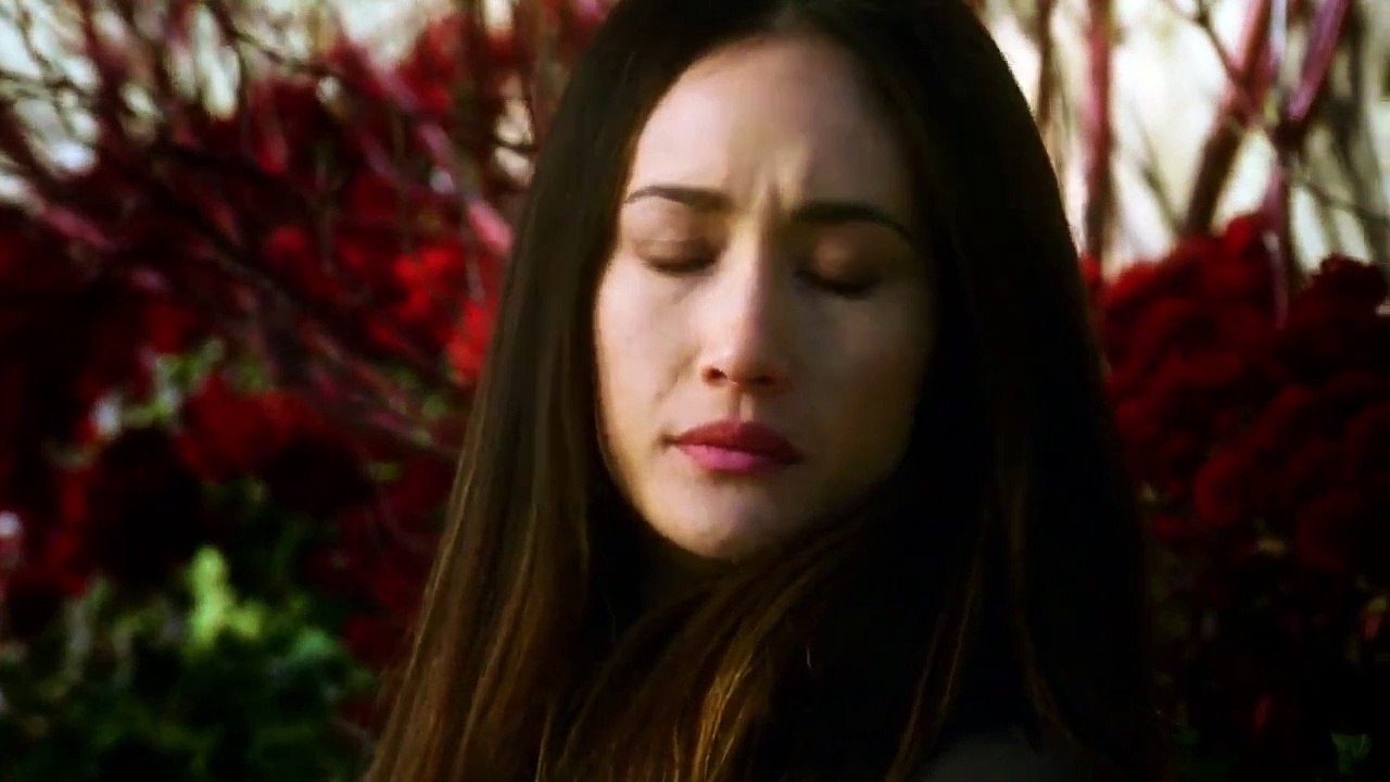 Nikita - Se1 - Ep11 HD Watch