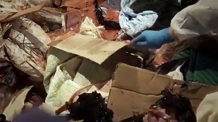 Shetland - Se3 - Ep02 HD Watch