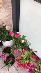 5e66240a-bfee-4d0f-8a78-e61a92f3aa5e