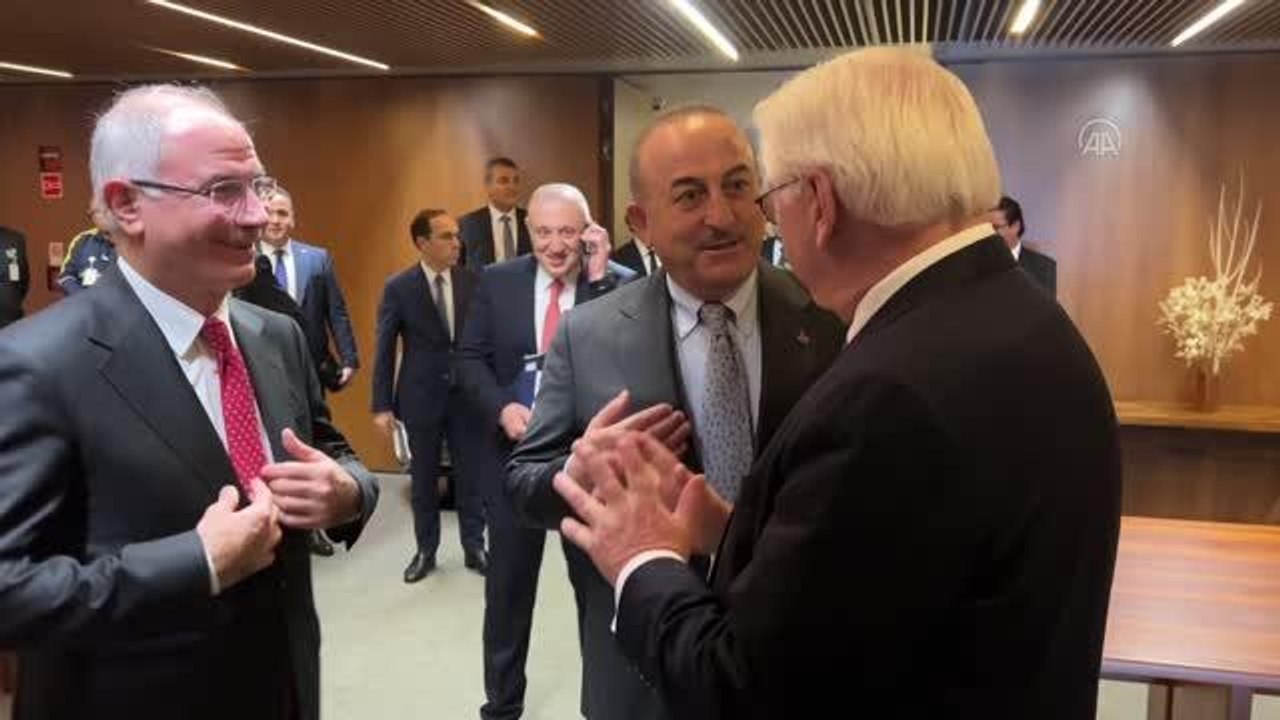 Çavuşoğlu, Almanya Cumhurbaşkanı Steinmeier ile görüştü