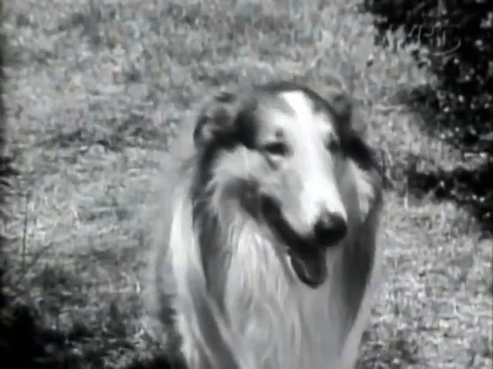 Lassie - Se1 - Ep06 HD Watch