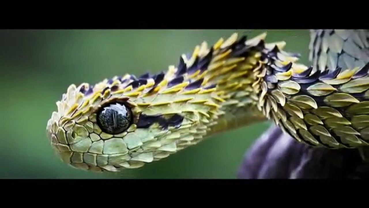 Mummies Unwrapped - Se1 - Ep01 HD Watch