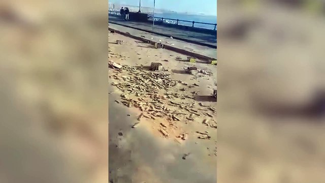 Capodanno, i rifuti e la nebbia dopo i fuochi di mezzanotte a Napoli