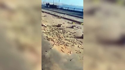 Capodanno, i rifuti e la nebbia dopo i fuochi di mezzanotte a Napoli