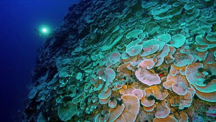 Under the Pole - Se1 - Ep05 HD Watch