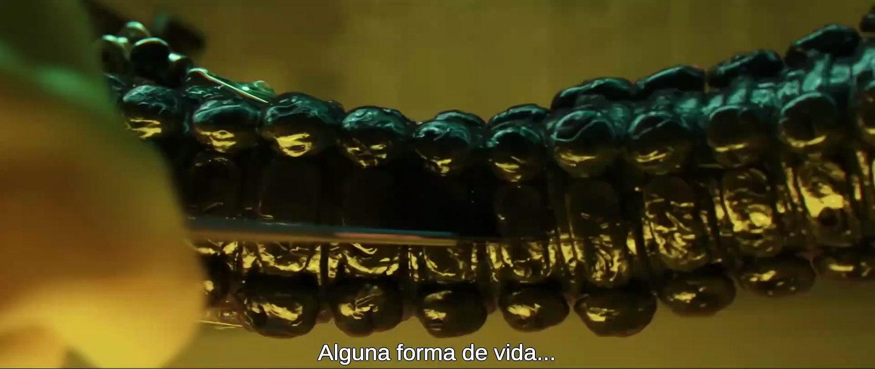 Géminis - El Planeta Oscuro (2022) Tráiler Oficial Subtitulado_Full-HD_001
