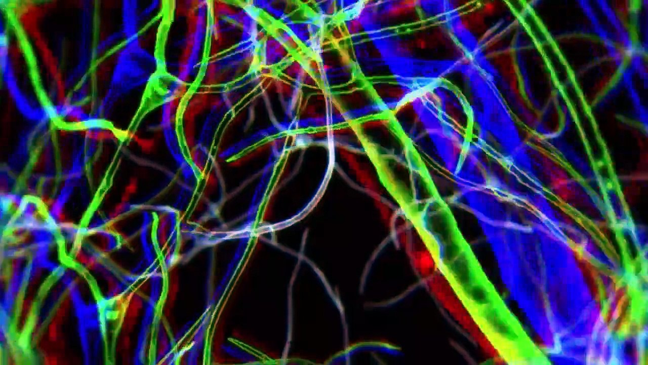 Juushinki Pandora - Ep02 HD Watch