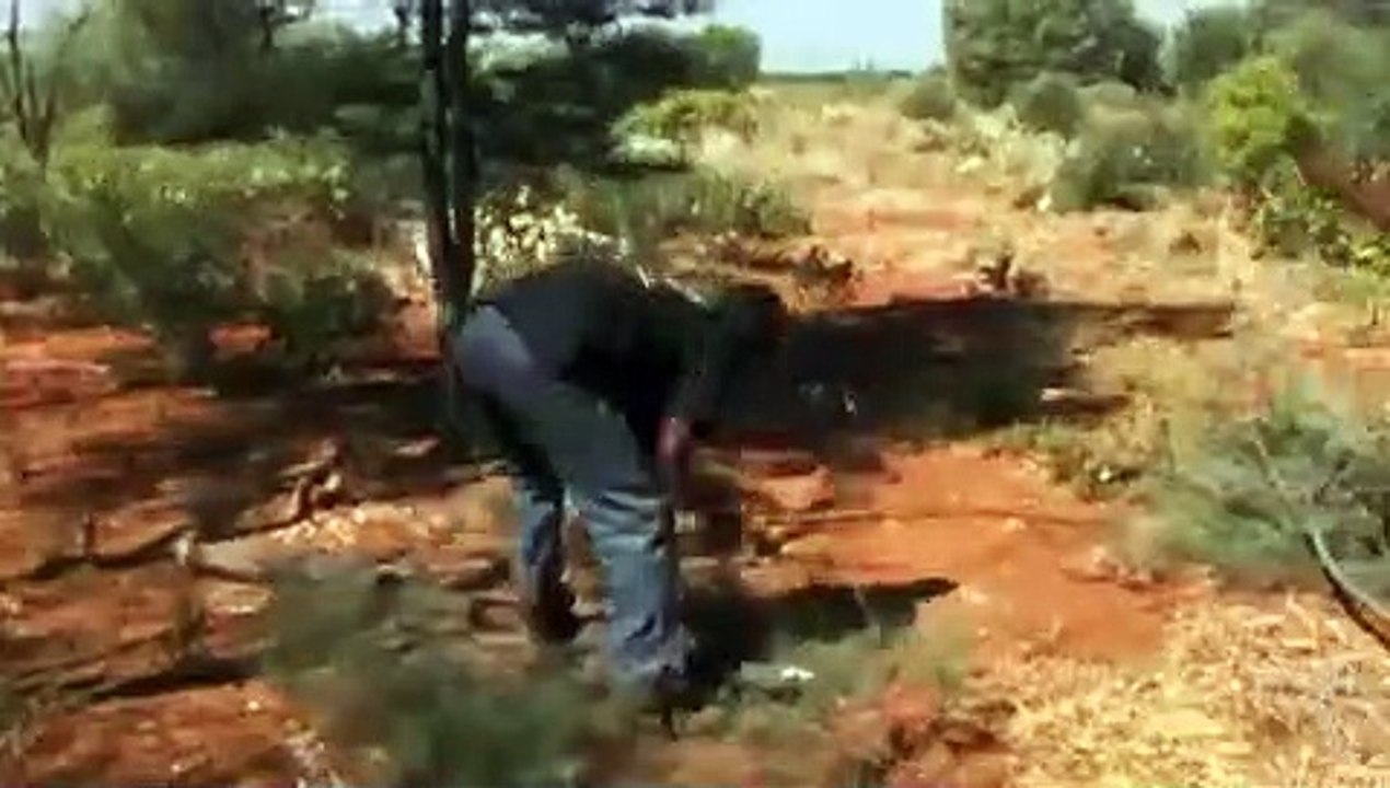 Australian Story - Se21 - Ep17 HD Watch