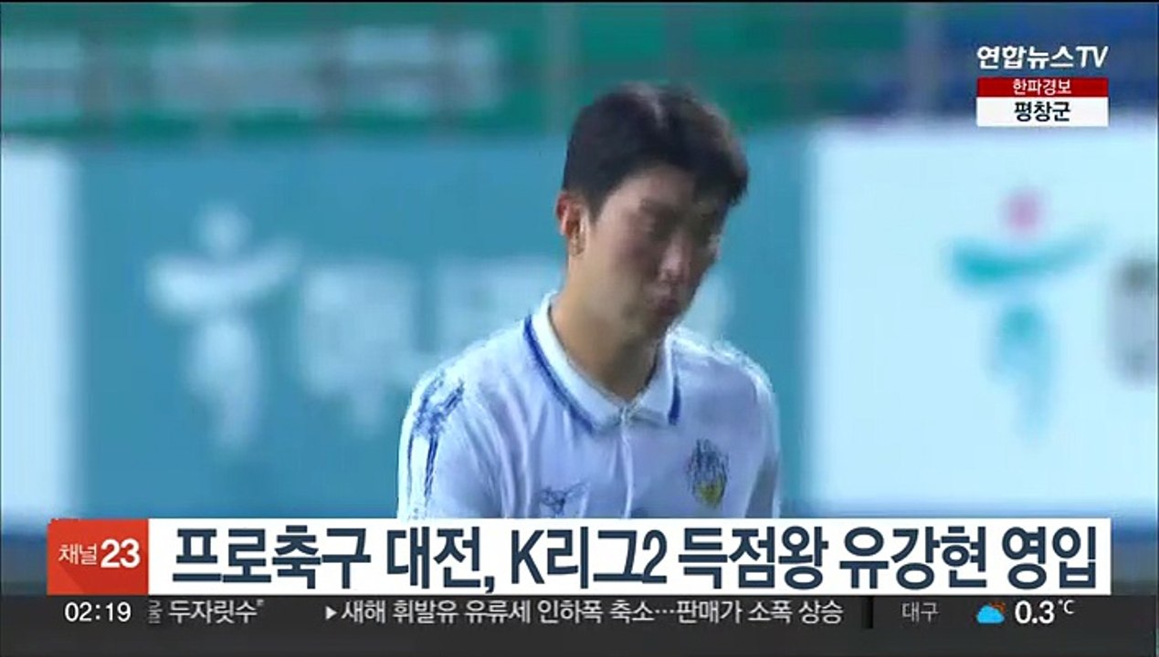 프로축구 대전, K리그2 득점왕 유강현 영입