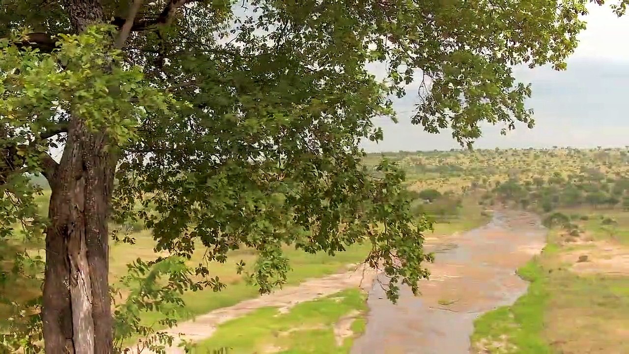Ancient Civilizations - Se1 - Ep07 HD Watch