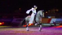 Avignon 2008
