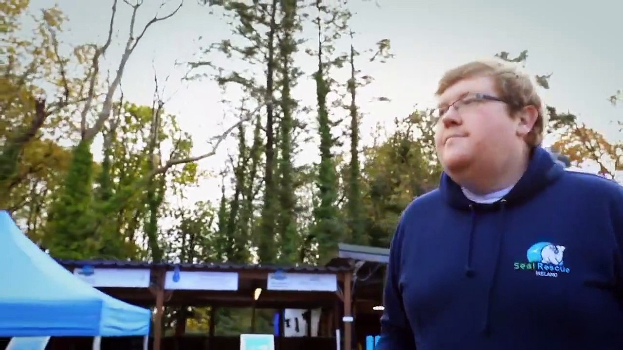 Dodo Heroes - Se2 - Ep01 HD Watch