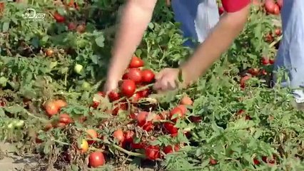 How It's Made - Se19 - Ep04 HD Watch