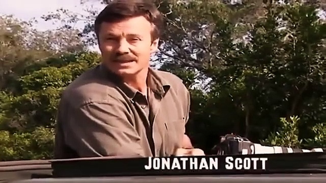 Big Cat Diary - Se2 - Ep07 HD Watch